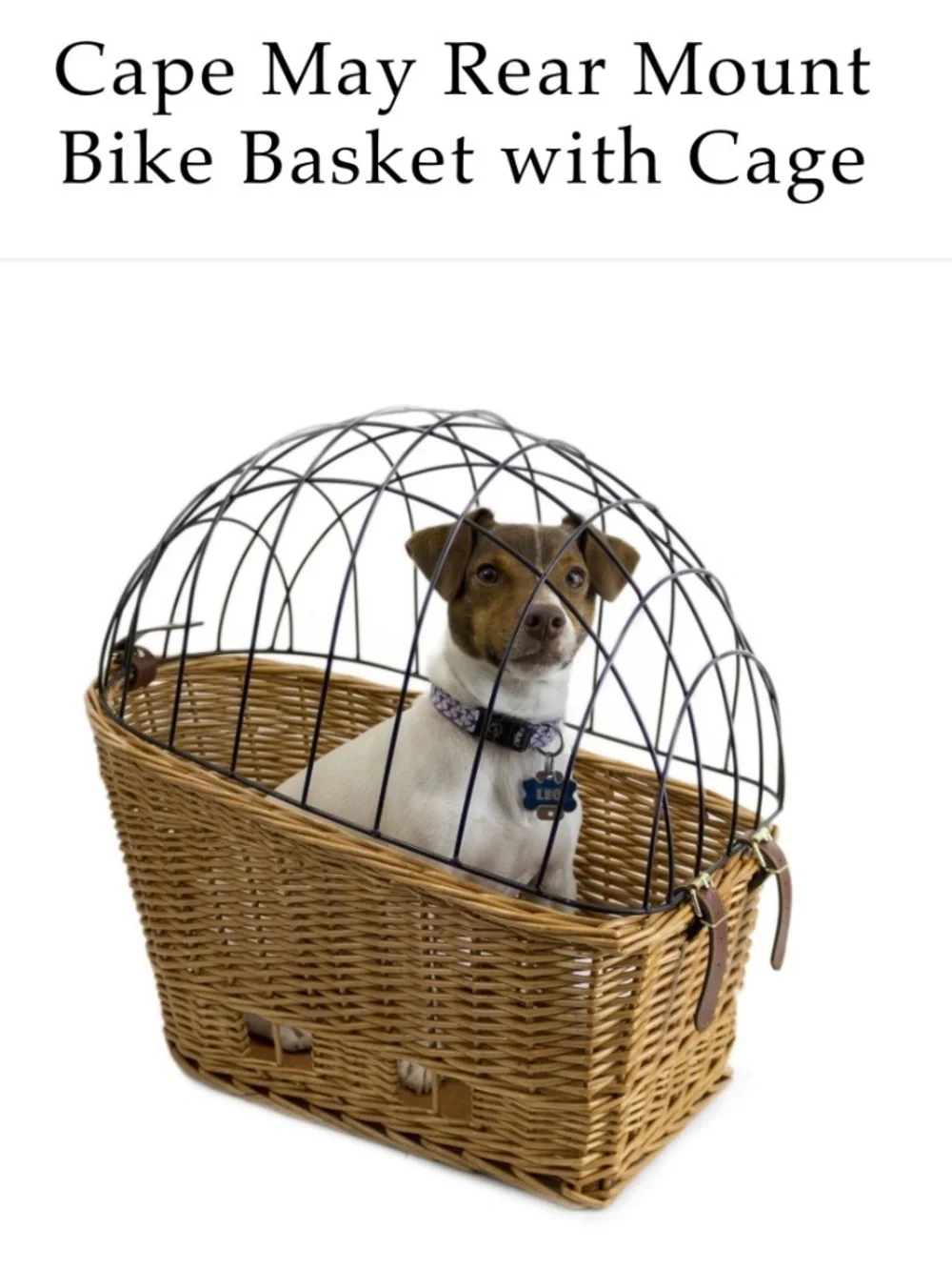 Beach and Dog Co. Brand NEW rear mount bicycle basket for Dogs